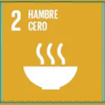 Objetivo 2 de Desarrollo Sostenible de la ONU: Hambre cero