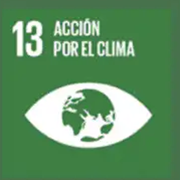 Objetivo 13 de Desarrollo Sostenible de la ONU: Acción por el clima