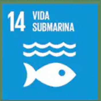 Objetivo 14 de Desarrollo Sostenible de la ONU: Vida submarina
