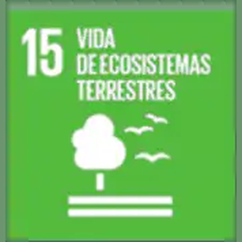 Objetivo 15 de Desarrollo Sostenible de la ONU: Vida de ecosistemas terrestres