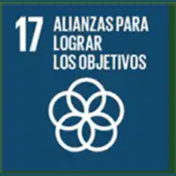 Objetivo 17 de Desarrollo Sostenible de la ONU: Alianzas para lograr los objetivos