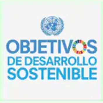 Logotipo de los Objetivos de Desarrollo Sostenible de la ONU